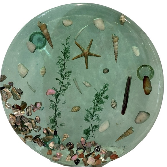 Nautical Seashell Hand Crafted‎ Glass Trivet Hot Plate Holder - Picture 2 of 7